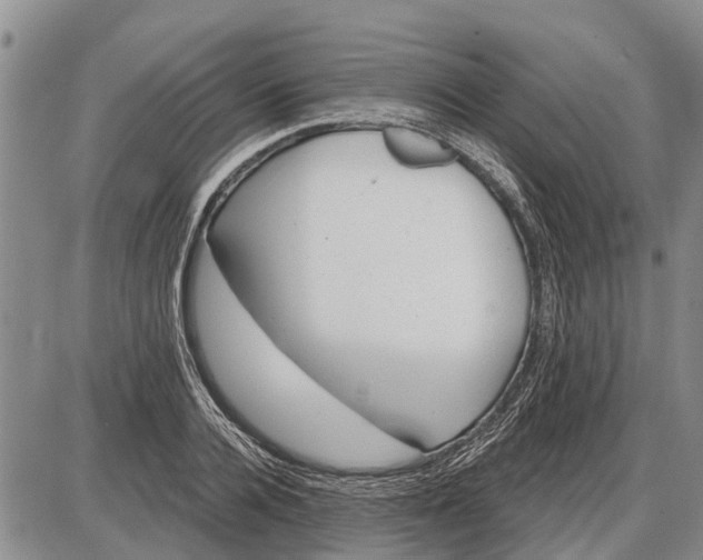 X0000085000936200703261125