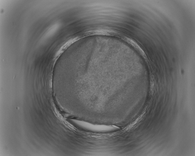 X0000085000938200703261125