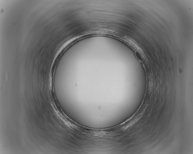 X0000085000940200703261125