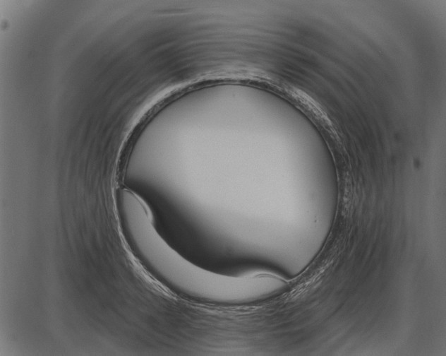 X0000085000942200703261125