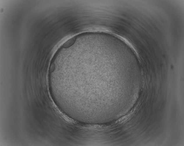 X0000085000943200703261125