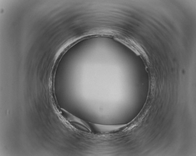 X0000085000944200703261125