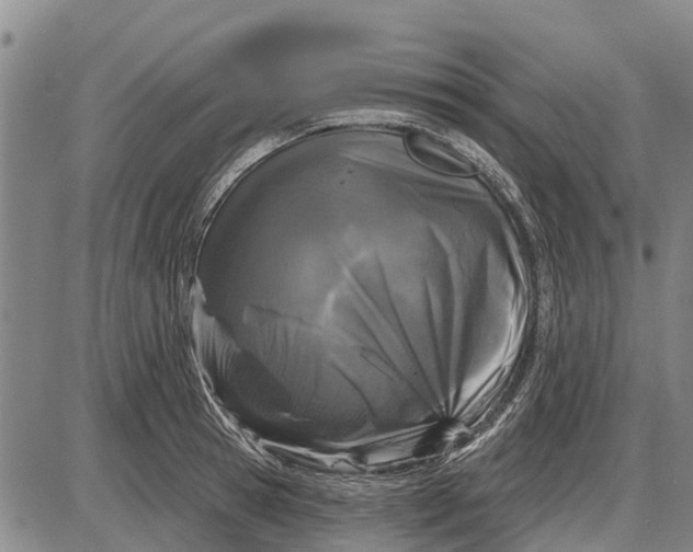 X0000085000945200703261125