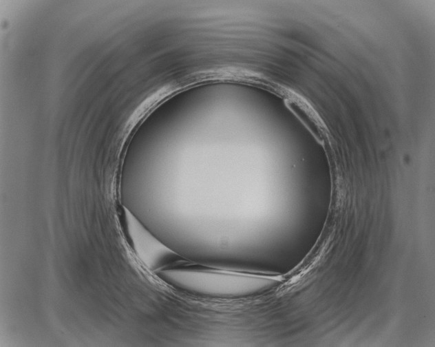 X0000085000946200703261125