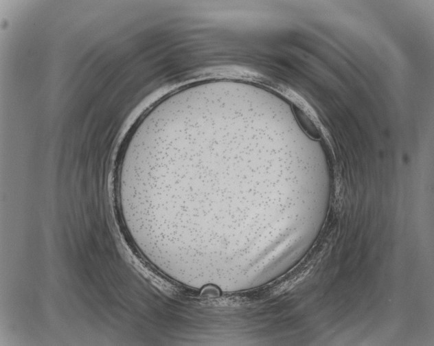 X0000085000947200703261125