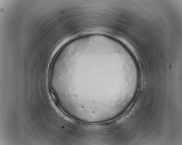 X0000085000949200703261125