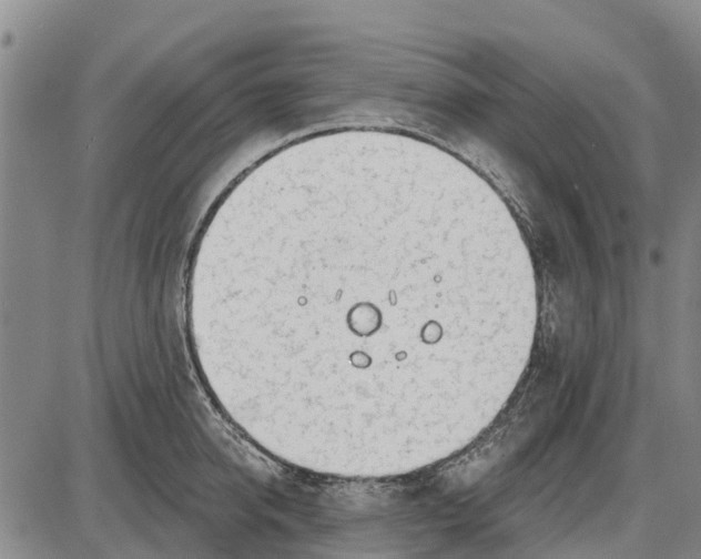 X0000085000950200703261125