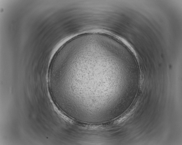 X0000085000951200703261125