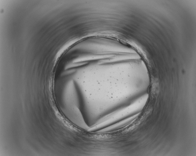 X0000085000952200703261125