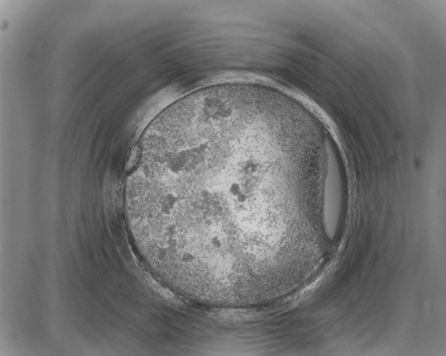 X0000085000953200703261125