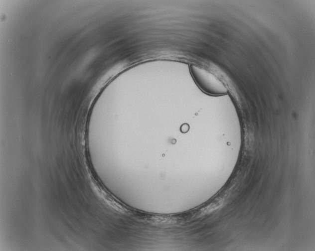 X0000085000954200703261125