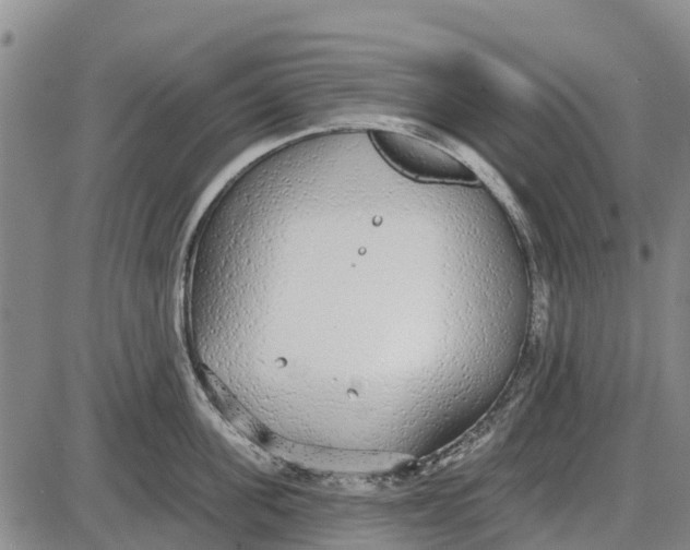 X0000085000955200703261125