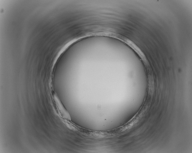 X0000085000956200703261125