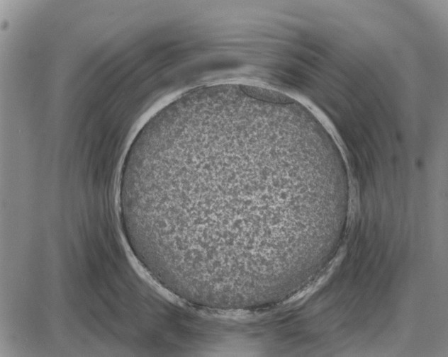 X0000085000957200703261125