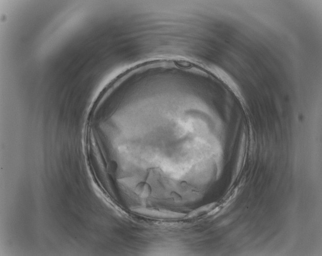 X0000085000958200703261125