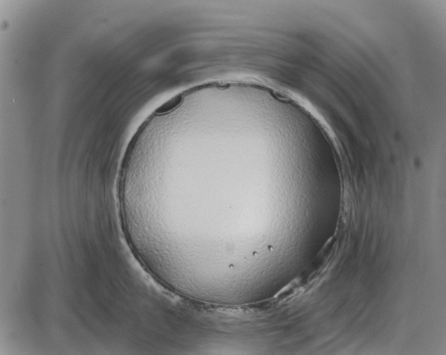 X0000085000959200703261125