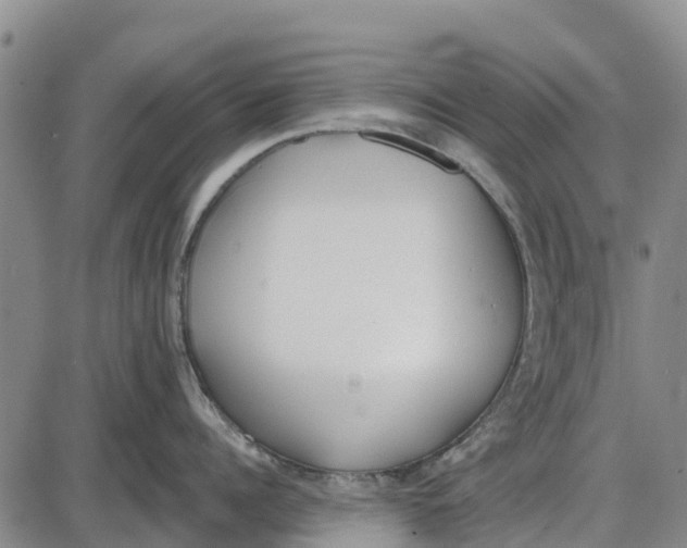 X0000085000960200703261125