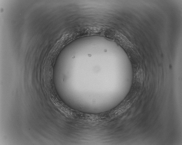 X0000085000961200703261124