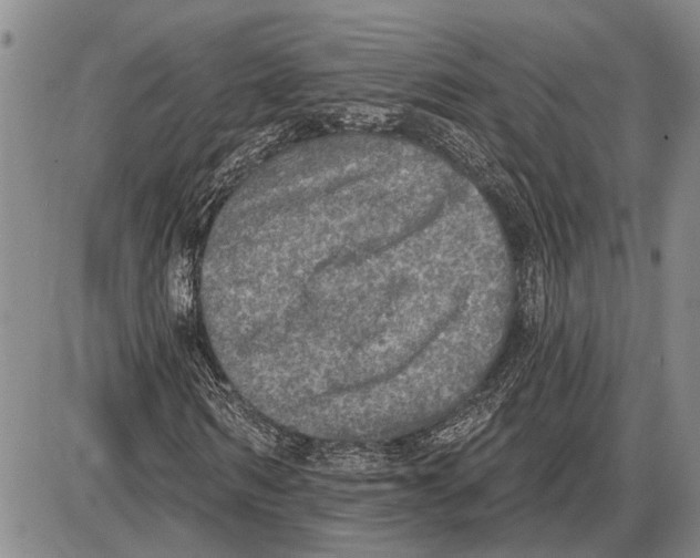 X0000085000962200703261124