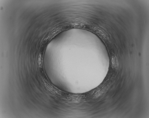 X0000085000963200703261124