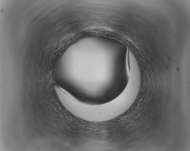 X0000085000965200703261124