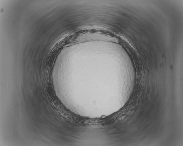 X0000085000967200703261124