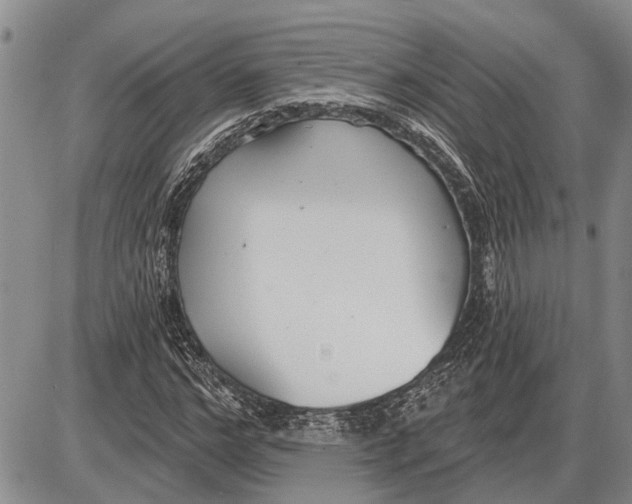 X0000085000968200703261124