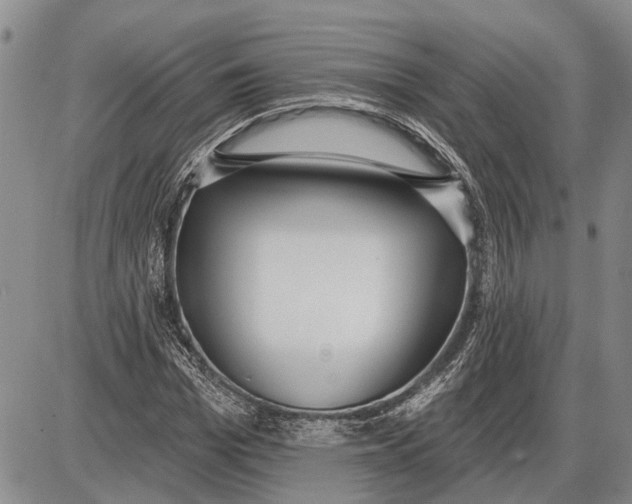 X0000085000969200703261124