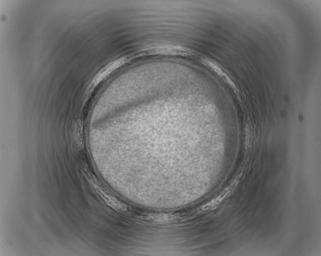 X0000085000970200703261124