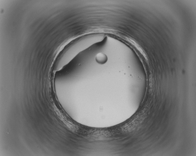 X0000085000972200703261124