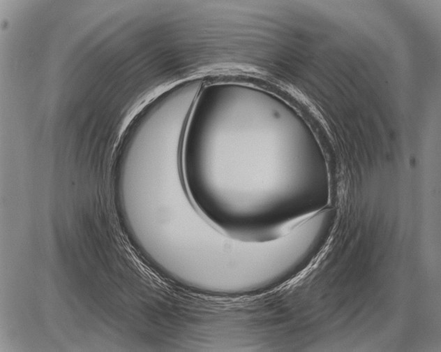 X0000085000973200703261124