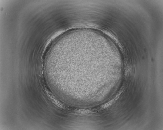 X0000085000974200703261124