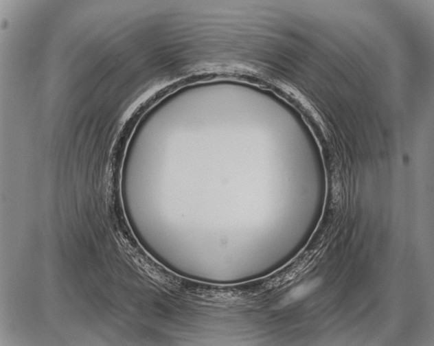 X0000085000975200703261124