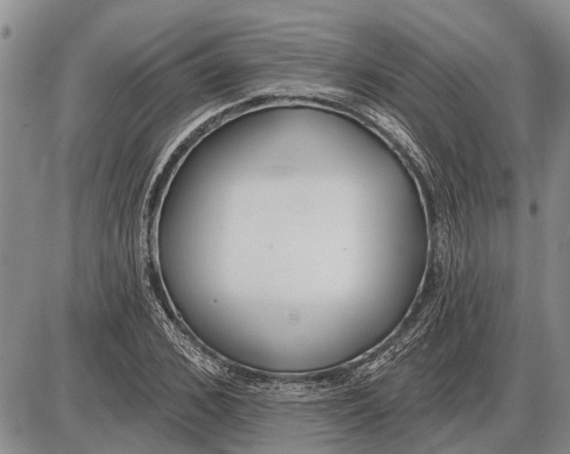 X0000085000976200703261124