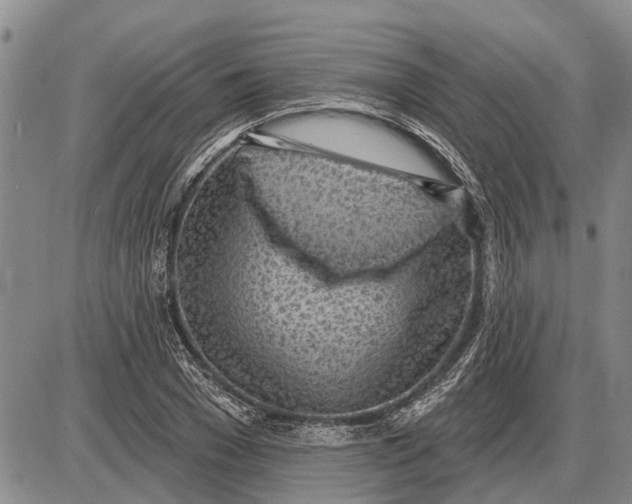 X0000085000977200703261124