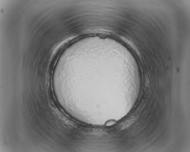 X0000085000979200703261124