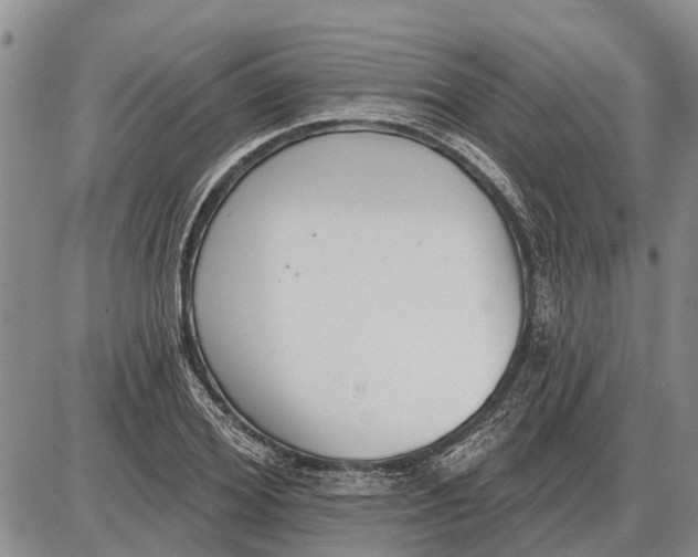 X0000085000980200703261124