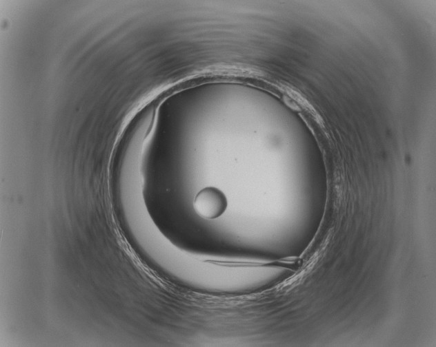 X0000085000981200703261124