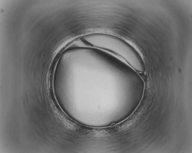 X0000085000983200703261124