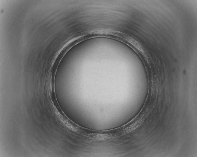 X0000085000984200703261124