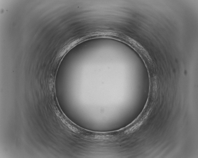 X0000085000985200703261124