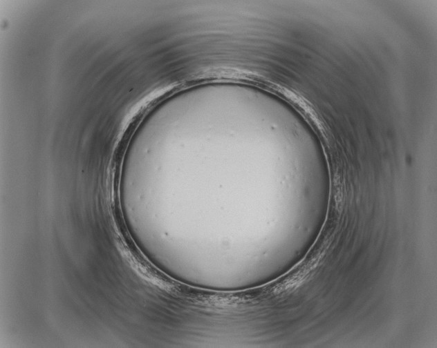 X0000085000987200703261124