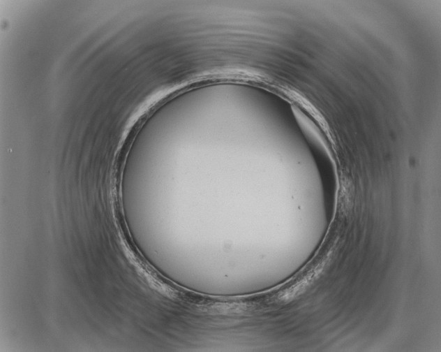 X0000085000989200703261124