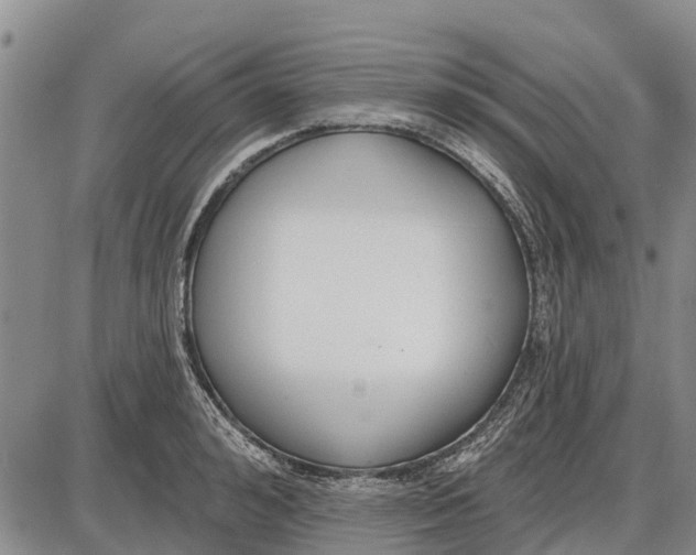 X0000085000992200703261124