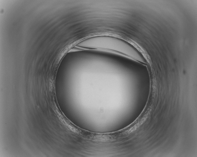 X0000085000993200703261124