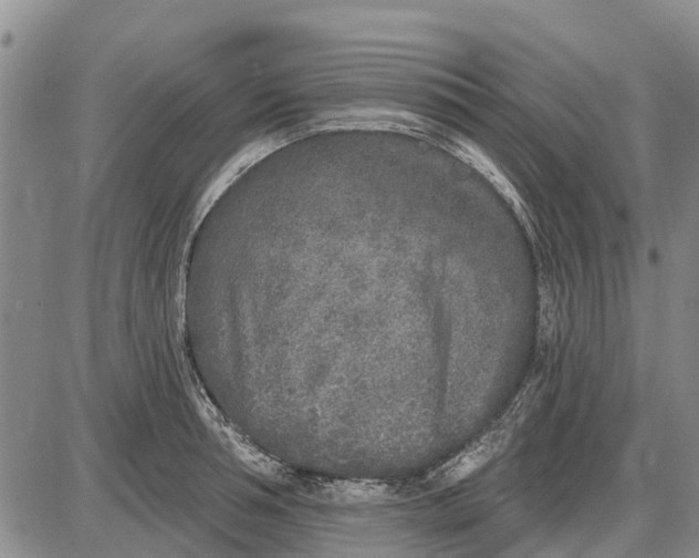 X0000085000994200703261124