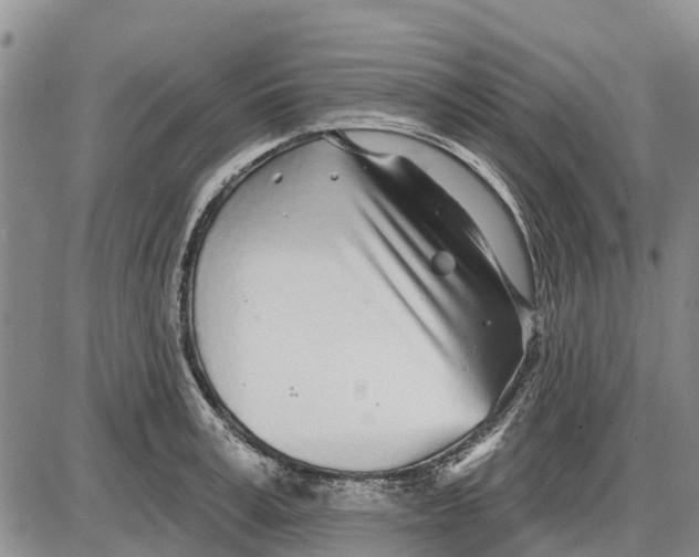 X0000085000995200703261124