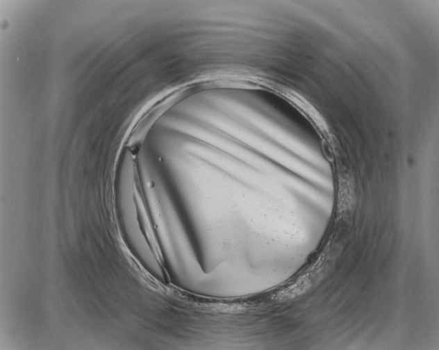 X0000085000996200703261124