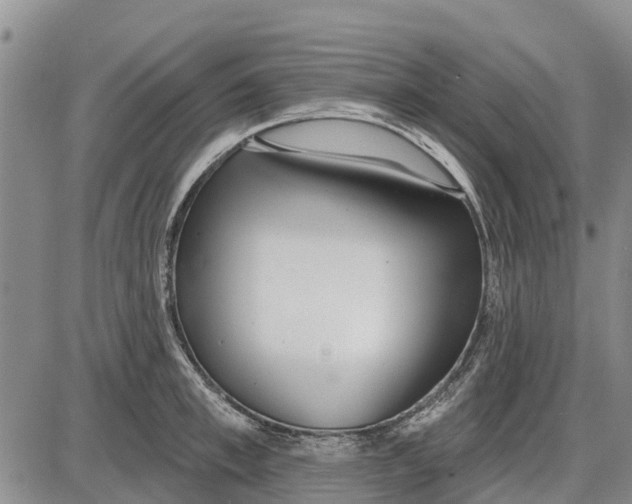 X0000085000997200703261124