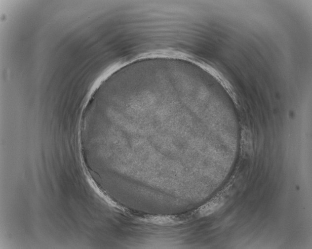 X0000085000998200703261124